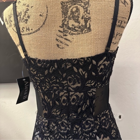 🆕Alexa B. Lace Dress - Picture 11 of 16